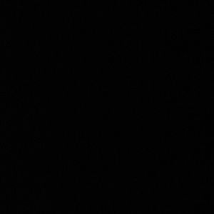 Meet your Posher, Bella